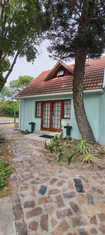 Cozy Cottage +/- 500M From The Beach Ciudad del Cabo Exterior foto